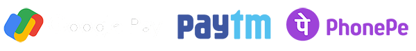 payLogo